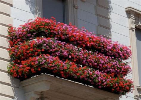 Utilice un soporte colgante para. Engalana tu vida con flores de verano | Jardineras ...