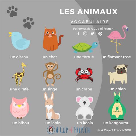 Animals French Words 1 Vocabulaire Français Enseignement Du Français