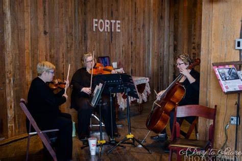 Area city, 318 square miles (824 square km). Hire Forte - String Quartet in Kansas City, Missouri