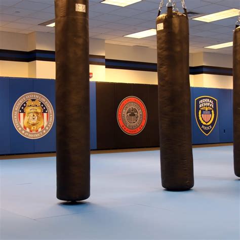 Mma Gym Rings And Cages Combat Sports Ringscages Zebra Athletics