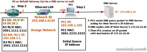 Understanding Web Browser Dns Lookup Ccna Hub