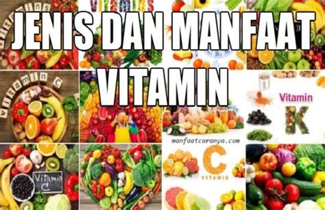 √ Jenis Dan Manfaat Vitamin Yang Perlu Diketahui Manfaatcaranyacom