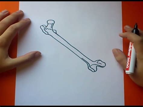 Como Dibujar Un Hueso Paso A Paso How To Draw A Bone Easy Drawings