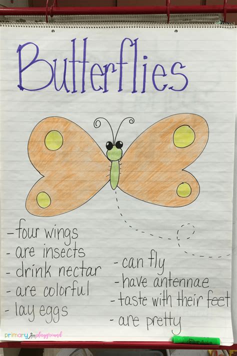 Butterfly Anchor Chart Butterfly Lesson Plans Butterfly Life Cycle