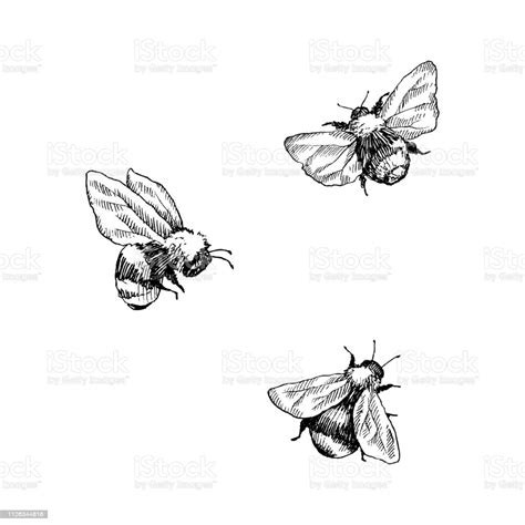 Pin By Marcela Tax On Left Arm Tat In 2021 Bee Illustration Hand