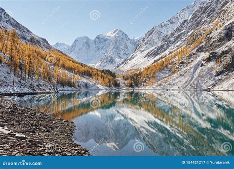 Altai Mountains Russia Siberia Stock Image Image Of Forest Rock