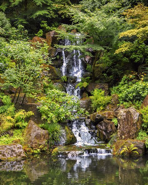 Little Waterfall In The Japanese Garden Ge Condit Photography