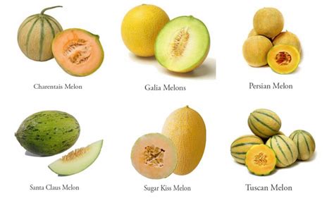 Meloniscious How To Pick And Eat Perfect Melons Foodtrients