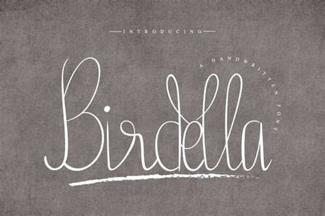 unknown modder✓shadow fight 2 script v.2.8.0.lua. New free font 'Birdella Demo' by Edric Studio · Free for ...