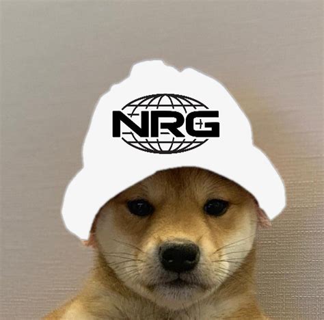 Nrg Dogwifhat In 2020 Baseball Hats Dogs