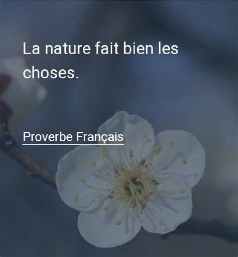 La Nature Fait Bien Les Choses Proverbe Français Proverbe Francais
