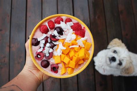 ¿qué Verduras Y Frutas Pueden Comer Los Perros Bienestar Animal