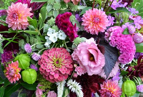 August wedding flowers floral wedding august wedding colors fern wedding bride bouquets bridesmaid bouquet succulent bouquet wedding bouquet succulents wedding a romantic soft pastel wedding with the most incredible wedding cakes. Wedding Flowers from Springwell: Zinnia and Dahlia ...