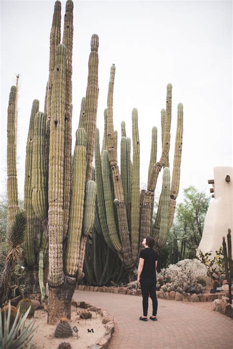 Check out this magical, photogenic AF, Arizona vacation
