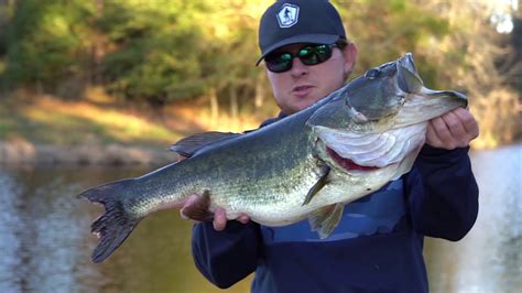 Top 10 Huge Largemouth Bass Caught On Camera Compilation Bass Manager The Best Bass