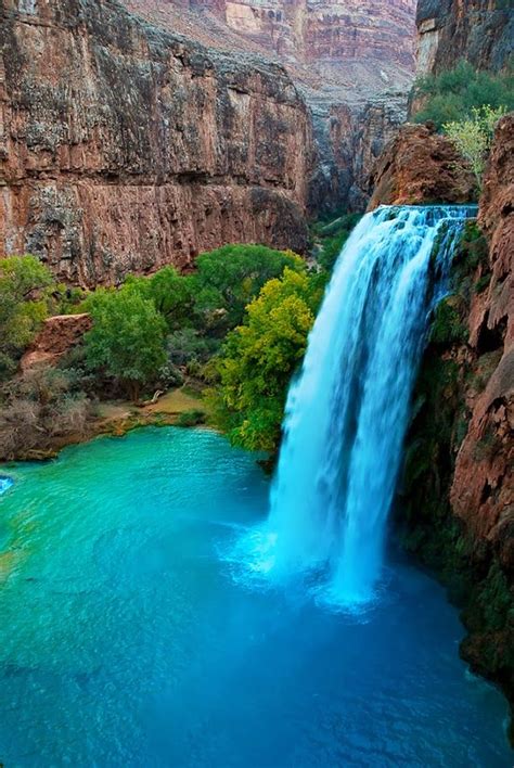 Havasu Falls Havasu Creek Arizona United States Bucket List Travel