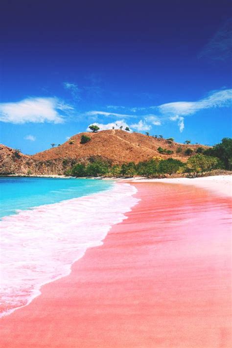 Discover The Beauty Of Pink Beach