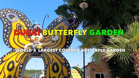 Dubai Butterfly Garden Worlds Largest Covered Butterfly Garden