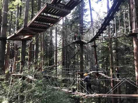 Redwood Canopy Tour Yuggler Redwood Canopy Tours At Mount Hermon Discover The Best