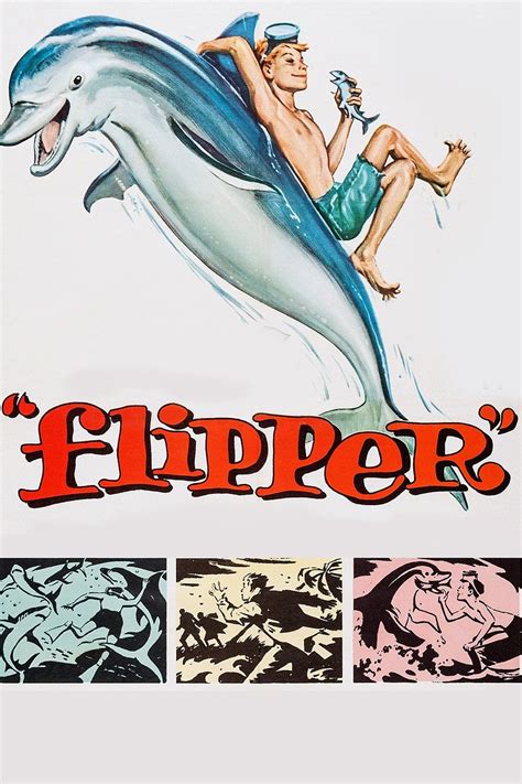 Flipper Pictures Rotten Tomatoes
