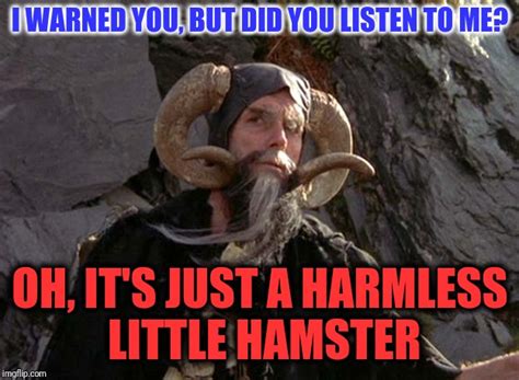 Hamster Cult Meme Pfp Editor - Tiny Hamster | Know Your Meme - Hamster