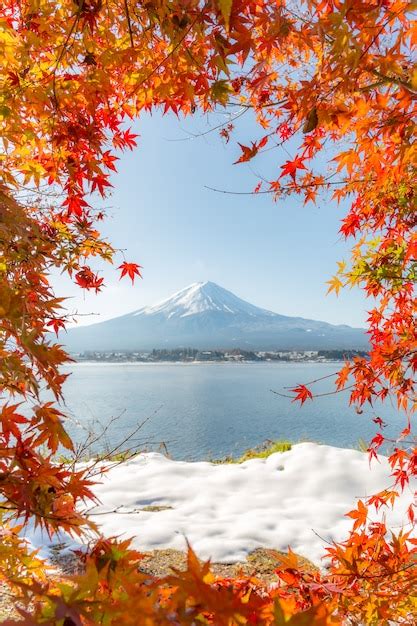 Premium Photo Mt Fuji In Autumn