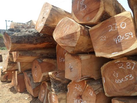 Top 7 Types Of Timber Wood In Africa Qualities And Uses With Pictures
