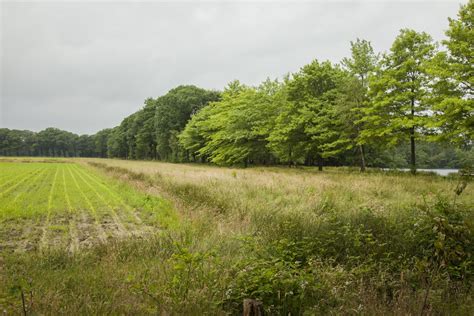 Ten oosten van hoogstraten ligt het verrassende natuurgebied wortel kolonie, ooit een verblijfsoord voor landlopers. Wortel-Kolonie: Vossenstreken - De Wandelapp voor kleine ...