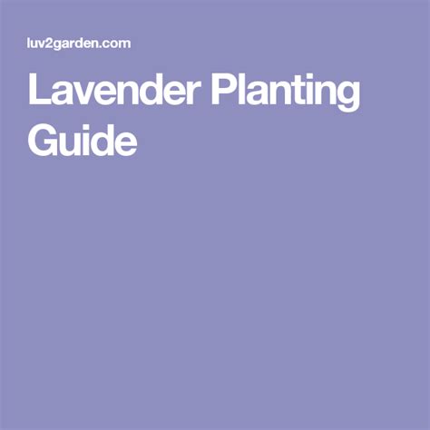 We have many different hardiness zones in the united states. Lavender Planting Guide | Spring planting guide, Growing ...