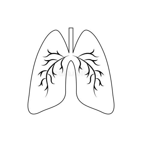 Human Lungs Coloring Pages