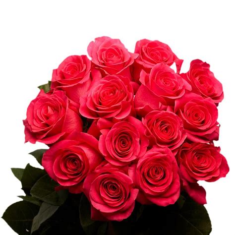 Mocoosy 50pcs artificial rose flowers, blush pink roses real touch foam fake rose bulk with stem everything you need to know about tumblr pink roses. Globalrose 2 Dozen Hot Pink Roses-vars-2-dozen-hot-pink ...