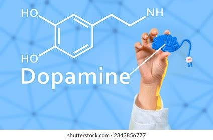 Dopamine Royalty Free Images Stock Photos Pictures Shutterstock