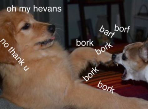 Bunch Of Heckin Woofers Album On Imgur Funny Animal Memes Dog Memes