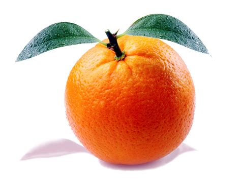 картинки фрукты круглый Спелый оранжевый Пища уборка урожая