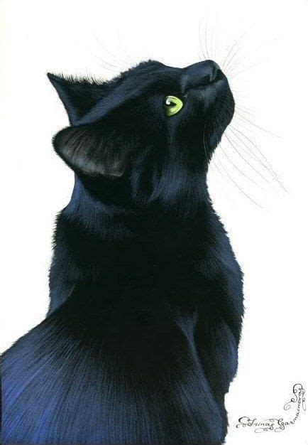Captivating Black Cat Art Tiere Katzen Kunst Schwarze Katze Kunst