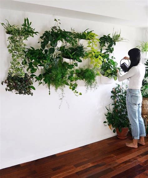 25 Amazing Wall Plants Decor For Cozy Living Room Wall Planters