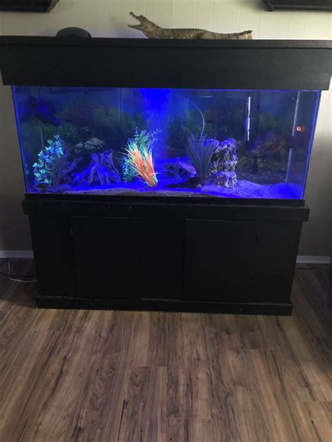 Aquarium 150 Gallons Custom Stand And Canopy Tank And Fish All For Sale