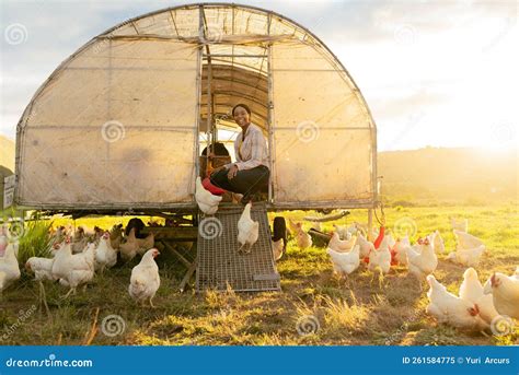 Poultry Farm Black Woman And Chicken Coop For Sustainable Farming