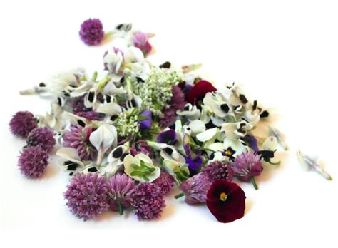 Now that we know all the theory of mocktails, it's time to check out actual recipes. The best edible flowers for drinks - CLASS