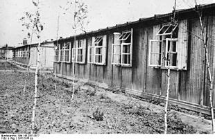 Commemorazione del cinquantesimo anniversario della liberazione del campo di concentramento di ausch. Campo di concentramento di Auschwitz - Wikipedia