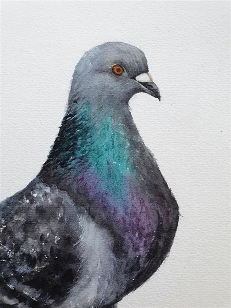 Original Watercolor Painting Pigeon Handpainted Bird Art Etsy