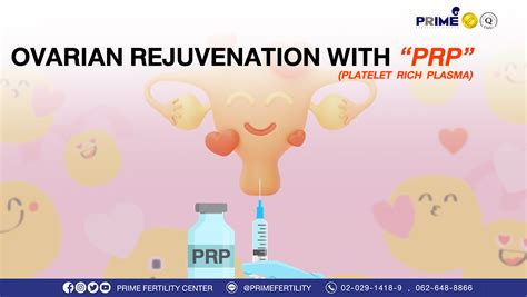 Ovarian Rejuvenation With “prp” Fertility Bangkok Ivf Thailand