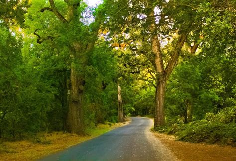 Persona de poca edad, joven: Take The Scenic Route Bicycling Bidwell Park Chico CA ...
