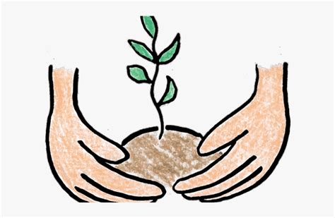 Growing Tree Clipart