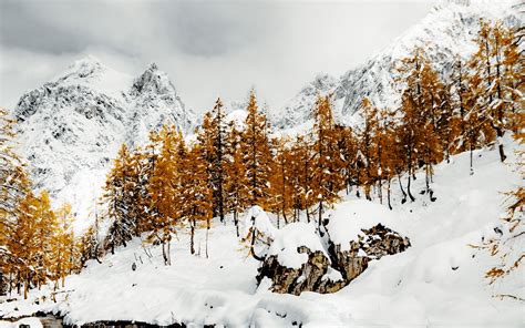 Download Wallpaper 1680x1050 Mountains Trees River Snow Winter