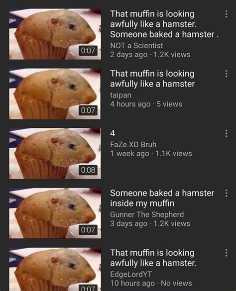 That Mufﬁn Is Looking Awfully Like A Hamster Someone Baked A Hamster
