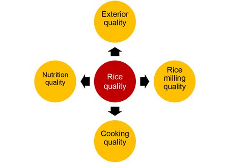 Check spelling or type a new query. Rice quality - Knowledge - Tianmen Xianliang Machinery Co.,Ltd