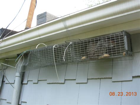 Although families want to remove pests from their homes, they want to do so using the safest methods possible. Squirrel Removal | Wildlife Pest Removal | Stark | Portage ...