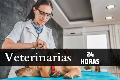 Urgencias Veterinaria 24 Horas Pereira Sucursales