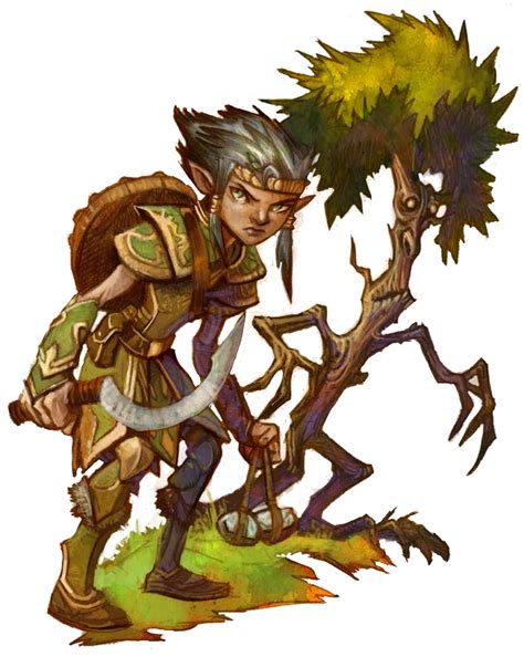 M Gnome Druid W Friend Pathfinder Character Rpg Character Character
